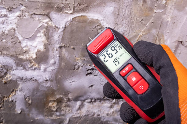 Best Office Mold Removal Services  in Sedalia, MO
