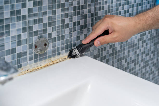 Best Residential Mold Removal  in Sedalia, MO